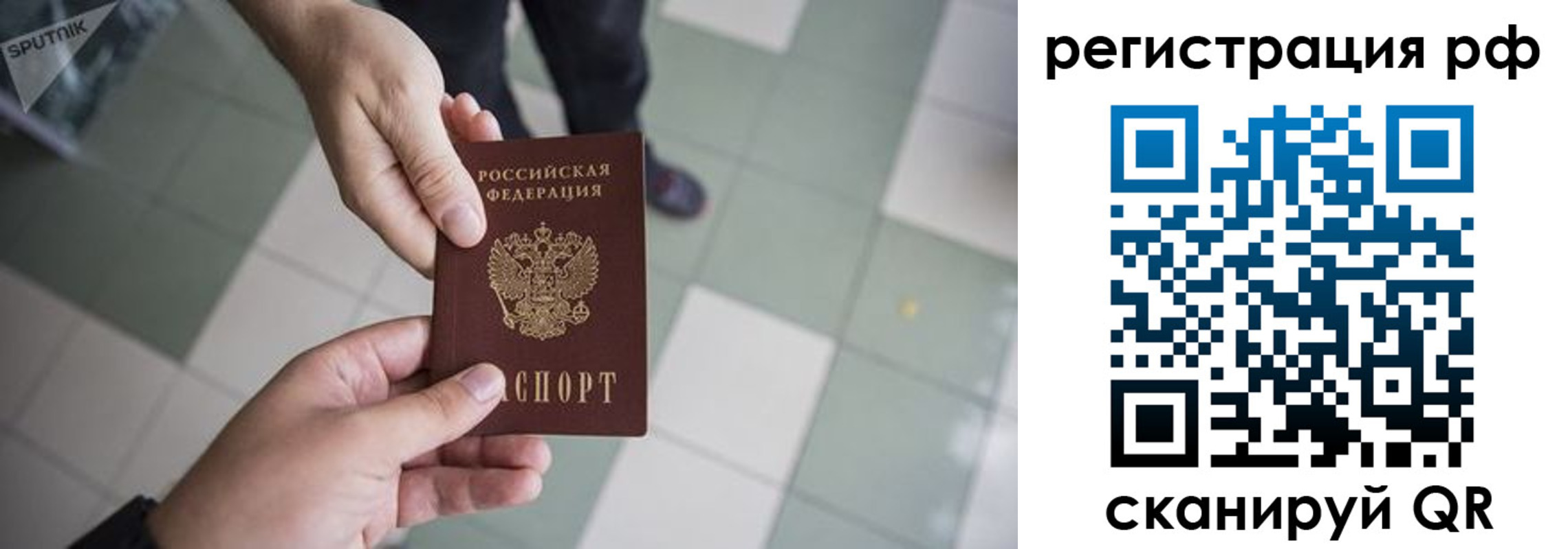прописка для работы в Волосово
